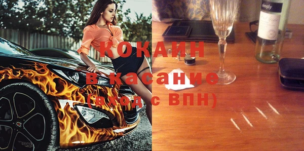 индика Армянск
