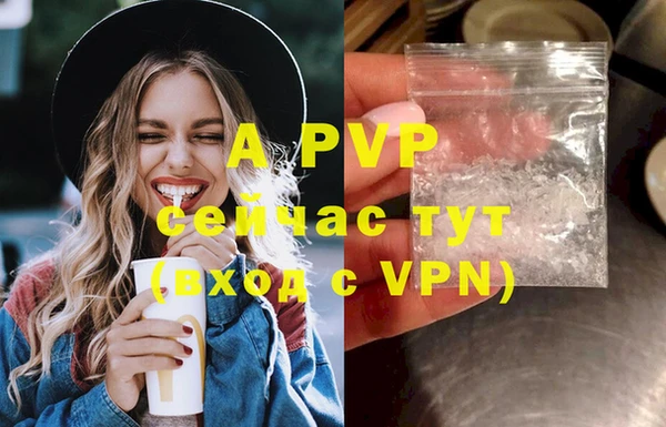 индика Армянск