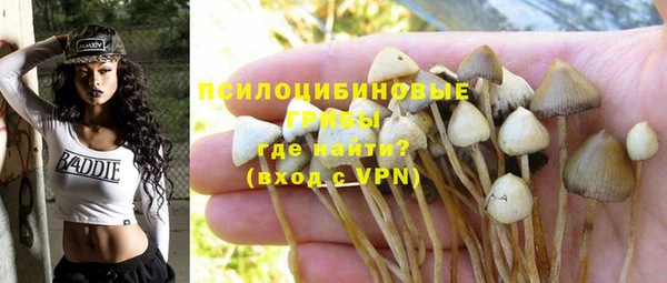индика Армянск