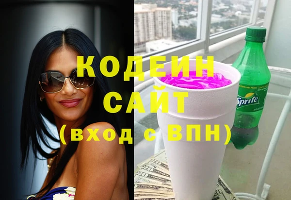 индика Армянск