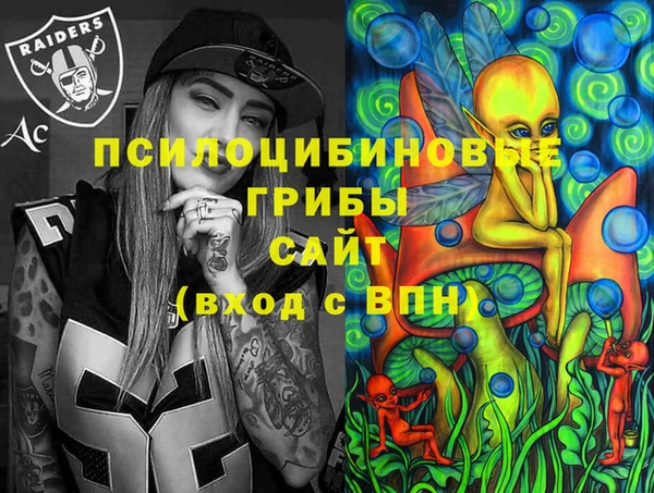 индика Армянск